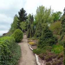 Návštěva Botanické zahrady